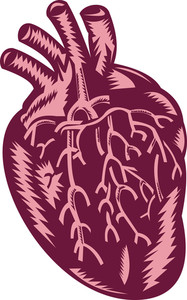 4009 Office Visit Cardiovascular Deep Dive for Supportive Nutrition