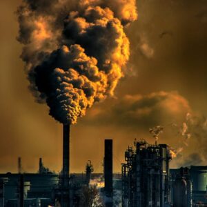 3003 Lab Test Heavy Metals Mercury